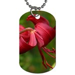 LILIUM RED VELVET Dog Tag (One Side)