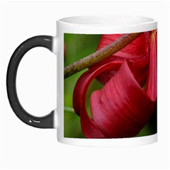 Lilium Red Velvet Morph Mugs by trendistuff