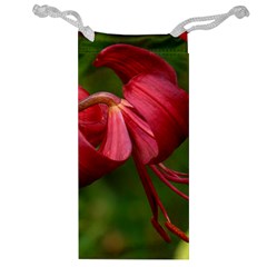 Lilium Red Velvet Jewelry Bags by trendistuff