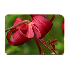 Lilium Red Velvet Plate Mats