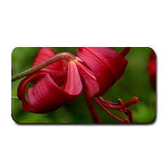 Lilium Red Velvet Medium Bar Mats