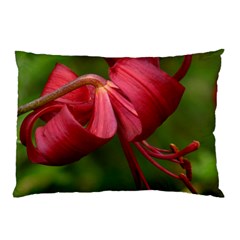 Lilium Red Velvet Pillow Cases