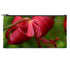 Lilium Red Velvet Pencil Cases by trendistuff