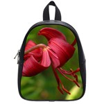 LILIUM RED VELVET School Bags (Small)  Front