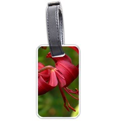 Lilium Red Velvet Luggage Tags (one Side)  by trendistuff