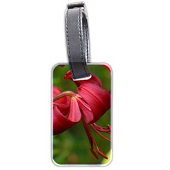 Lilium Red Velvet Luggage Tags (two Sides) by trendistuff