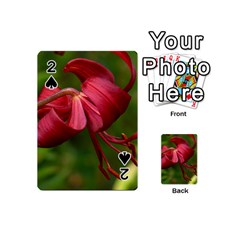 Lilium Red Velvet Playing Cards 54 (mini)  by trendistuff