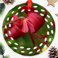 Lilium Red Velvet Ornament (round Filigree)  by trendistuff