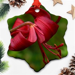 Lilium Red Velvet Ornament (snowflake)  by trendistuff