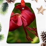 LILIUM RED VELVET Bell Ornament (2 Sides) Front