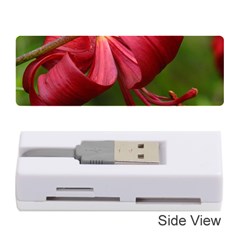 Lilium Red Velvet Memory Card Reader (stick) 