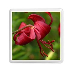 Lilium Red Velvet Memory Card Reader (square) 