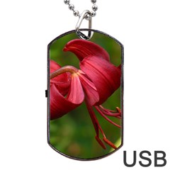 Lilium Red Velvet Dog Tag Usb Flash (one Side)