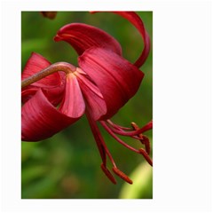 Lilium Red Velvet Large Garden Flag (two Sides)