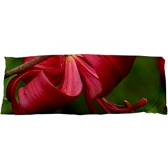 Lilium Red Velvet Samsung Galaxy Sl I9003 Hardshell Case by trendistuff