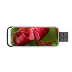 Lilium Red Velvet Portable Usb Flash (two Sides)