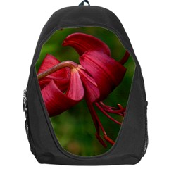 Lilium Red Velvet Backpack Bag