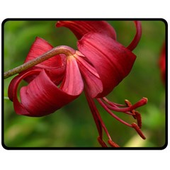 Lilium Red Velvet Double Sided Fleece Blanket (medium) 