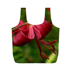 Lilium Red Velvet Full Print Recycle Bags (m)  by trendistuff