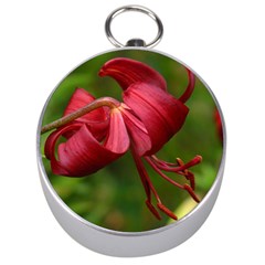 Lilium Red Velvet Silver Compasses by trendistuff