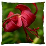 LILIUM RED VELVET Standard Flano Cushion Cases (One Side)  Front