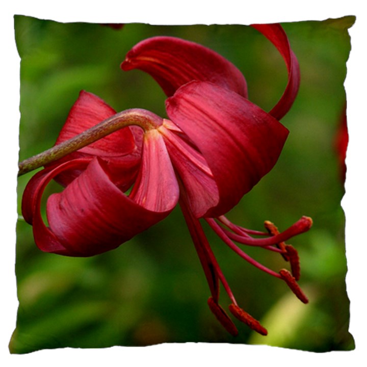 LILIUM RED VELVET Standard Flano Cushion Cases (One Side) 