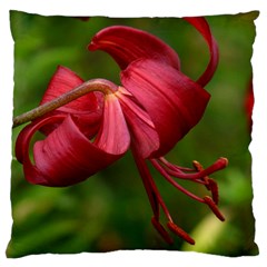 Lilium Red Velvet Large Flano Cushion Cases (two Sides) 