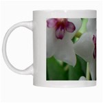 HOYABELLA White Mugs