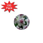 HOYABELLA 1  Mini Buttons (100 pack) 