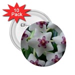 HOYABELLA 2.25  Buttons (10 pack) 