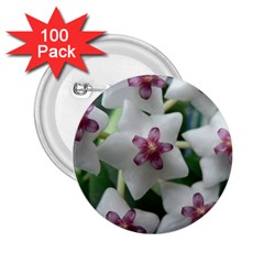 Hoyabella 2 25  Buttons (100 Pack)  by trendistuff