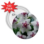 HOYABELLA 2.25  Buttons (100 pack) 