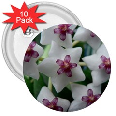 Hoyabella 3  Buttons (10 Pack) 