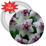 HOYABELLA 3  Buttons (10 pack) 