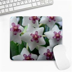 Hoyabella Large Mousepads by trendistuff