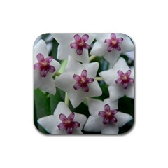 Hoyabella Rubber Coaster (square)  by trendistuff