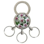 HOYABELLA 3-Ring Key Chains