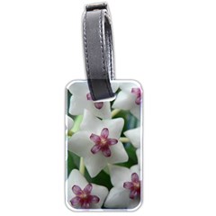 Hoyabella Luggage Tags (two Sides) by trendistuff