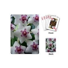 Hoyabella Playing Cards (mini)  by trendistuff