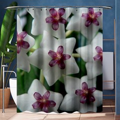 Hoyabella Shower Curtain 60  X 72  (medium) 