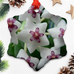 Hoyabella Ornament (snowflake)  by trendistuff