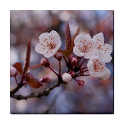 Cherry Blossoms Tile Coasters