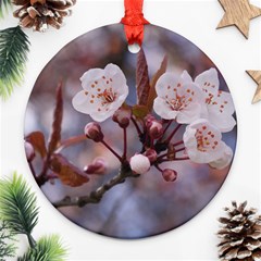 Cherry Blossoms Ornament (round)  by trendistuff