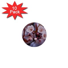 Cherry Blossoms 1  Mini Buttons (10 Pack) 