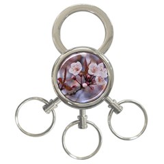 Cherry Blossoms 3-ring Key Chains by trendistuff