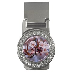 Cherry Blossoms Money Clips (cz)  by trendistuff