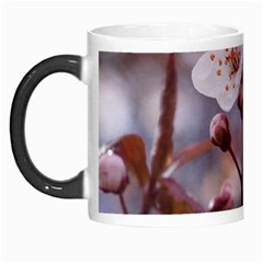 Cherry Blossoms Morph Mugs