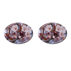 Cherry Blossoms Cufflinks (oval) by trendistuff