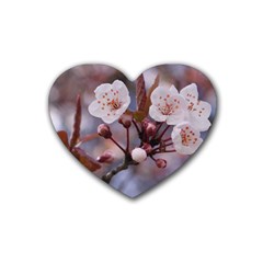 Cherry Blossoms Heart Coaster (4 Pack)  by trendistuff