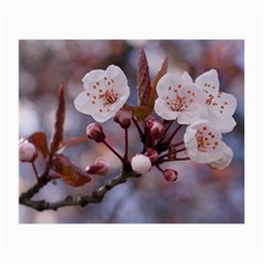 Cherry Blossoms Small Glasses Cloth (2-side)